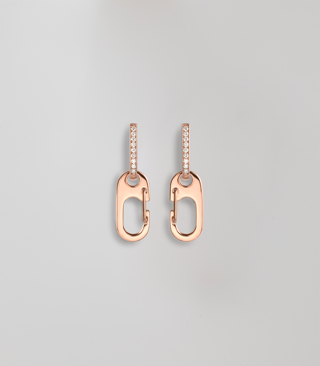 Carabiner earrings